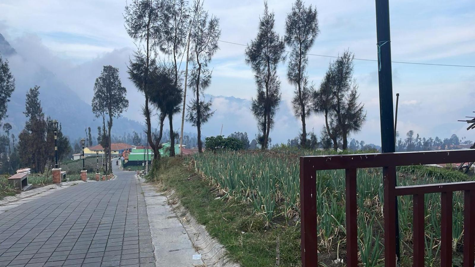 Bromo Semesta Guesthouse Probolinggo Exterior foto